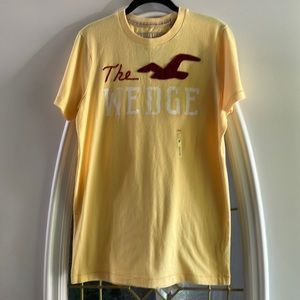 NWT Hollister T Shirt.